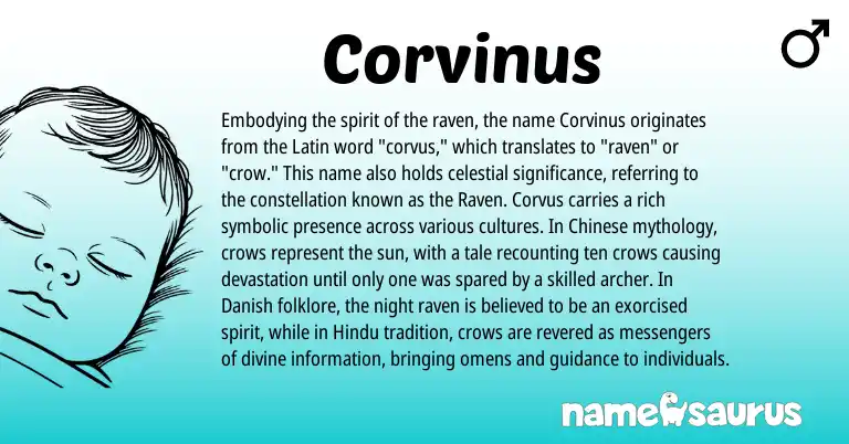 Infographic about Corvinus name meaning, Corvinus is a name from Chinese, Latin, Danish, Hindu origin(s).