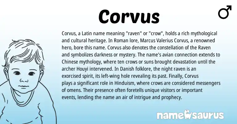 Infographic about Corvus name meaning, Corvus is a name from Chinese, Danish, Hinduism, Roman, Latin origin(s).