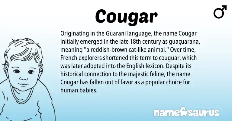Infographic about Cougar name meaning, Cougar is a name from English, French, Guarani origin(s).