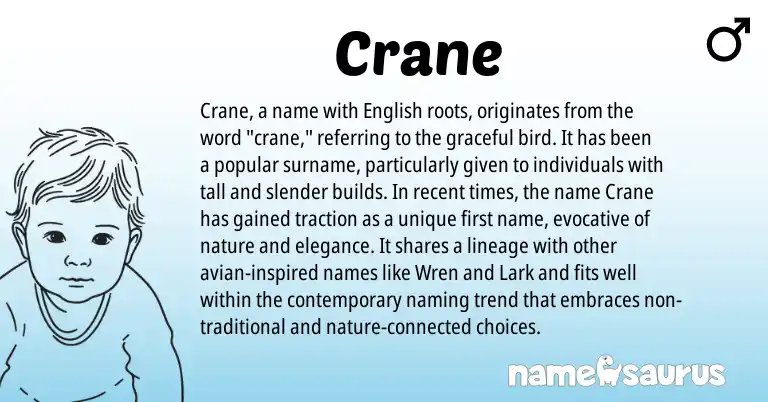 Infographic about Crane name meaning, Crane is a name from English origin(s).