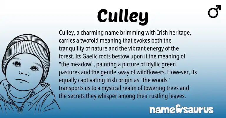 Infographic about Culley name meaning, Culley is a name from Irish, Gaelic origin(s).
