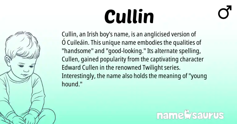Infographic about Cullin name meaning, Cullin is a name from Irish origin(s).