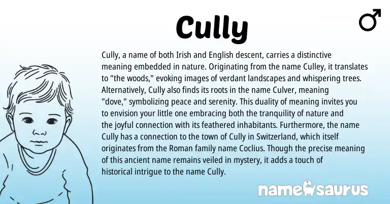 Infographic about Cully name meaning, Cully is a name from Irish, English, Roman origin(s).
