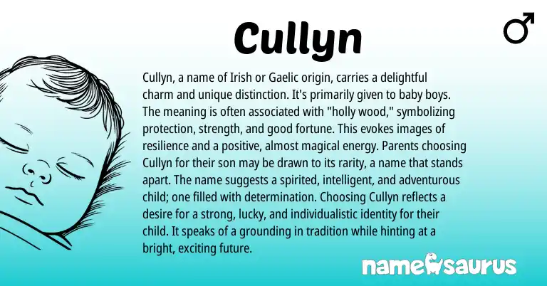 Infographic about Cullyn name meaning, Cullyn is a name from Gaelic, Irish origin(s).