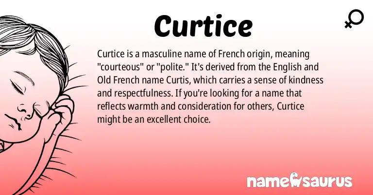 Infographic about Curtice name meaning, Curtice is a name from French origin(s).