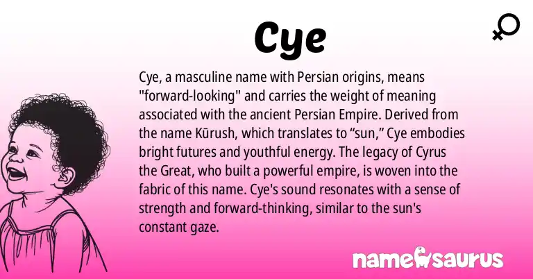 Infographic about Cye name meaning, Cye is a name from Persian origin(s).