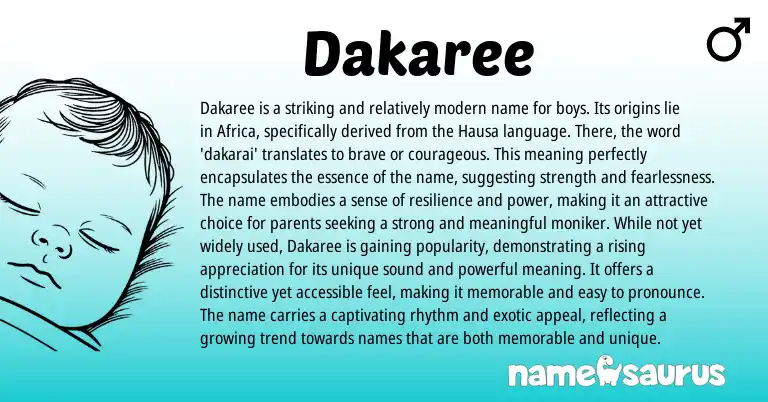 Infographic about Dakaree name meaning, Dakaree is a name from Hausa, African origin(s).