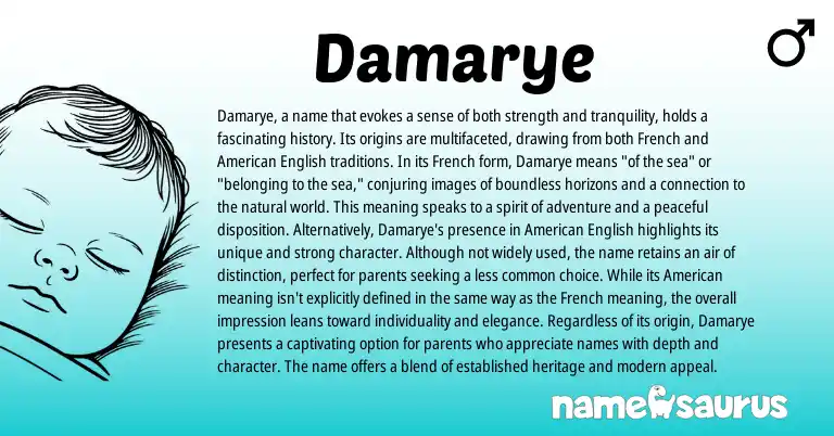 Infographic about Damarye name meaning, Damarye is a name from French origin(s).