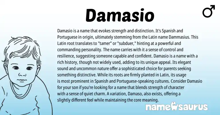 Infographic about Damasio name meaning, Damasio is a name from Latin, Portuguese, Spanish origin(s).