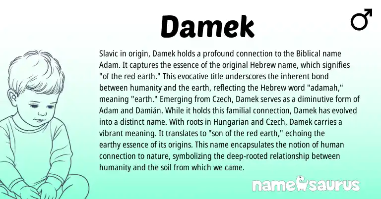 Infographic about Damek name meaning, Damek is a name from Slavic, Hungarian, Czech, Hebrew origin(s).