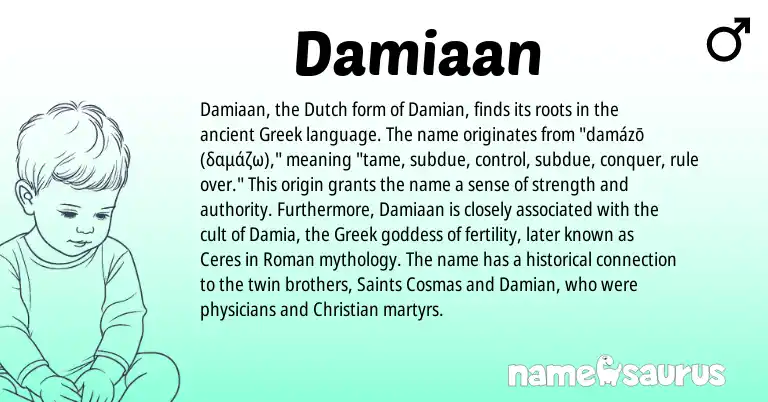 Infographic about Damiaan name meaning, Damiaan is a name from Dutch, Roman, Greek origin(s).