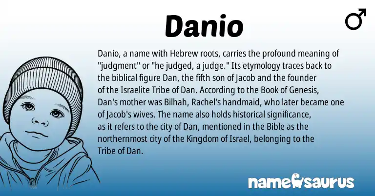 Infographic about Danio name meaning, Danio is a name from Hebrew origin(s).
