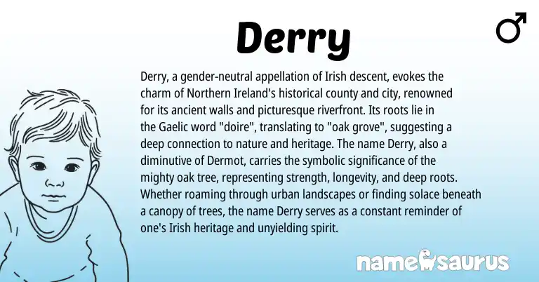 Infographic about Derry name meaning, Derry is a name from Irish, Ireland, Gaelic origin(s).