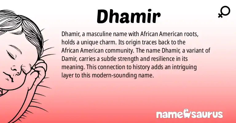 Infographic about Dhamir name meaning, Dhamir is a name from African American origin(s).