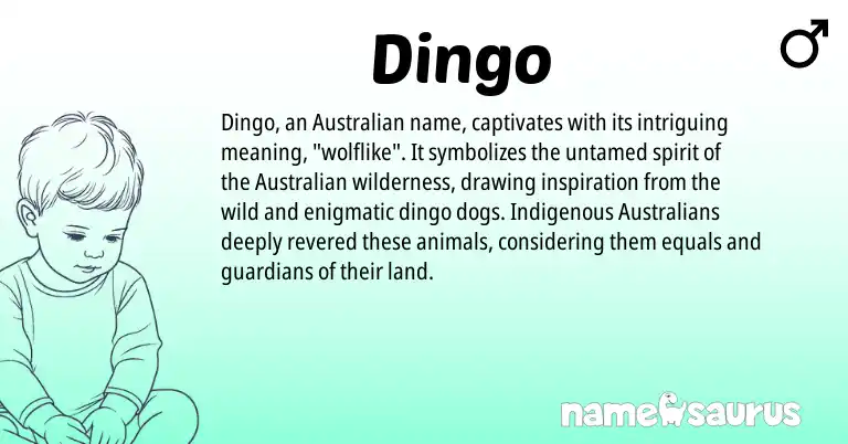 Infographic about Dingo name meaning, Dingo is a name from Australian origin(s).