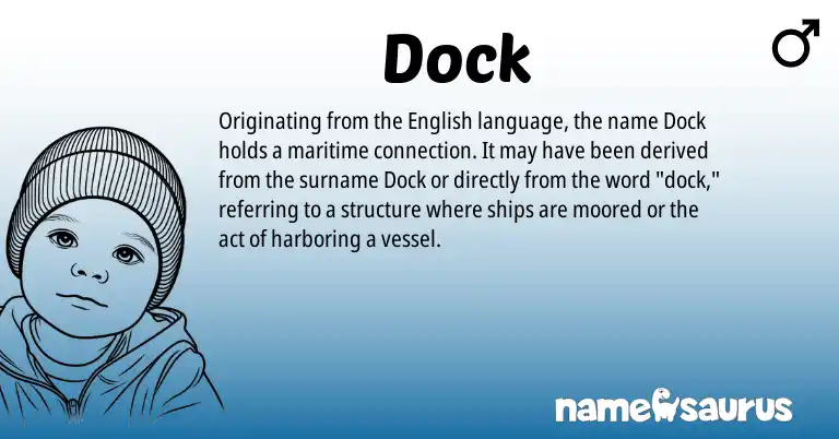 Infographic about Dock name meaning, Dock is a name from English origin(s).