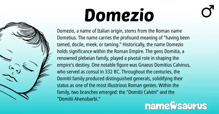 Infographic about Domezio name meaning, Domezio is a name from Roman, Italian origin(s).