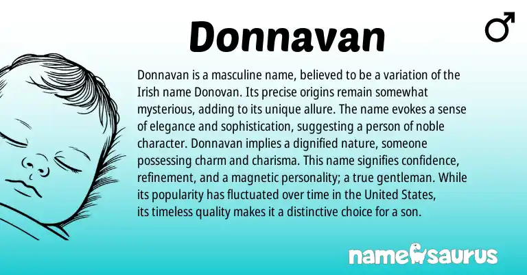 Infographic about Donnavan name meaning, Donnavan is a name from Irish origin(s).