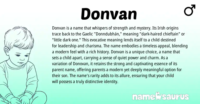 Infographic about Donvan name meaning, Donvan is a name from Irish origin(s).