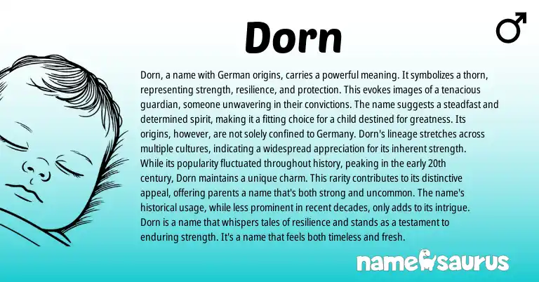 Infographic about Dorn name meaning, Dorn is a name from Germanic origin(s).