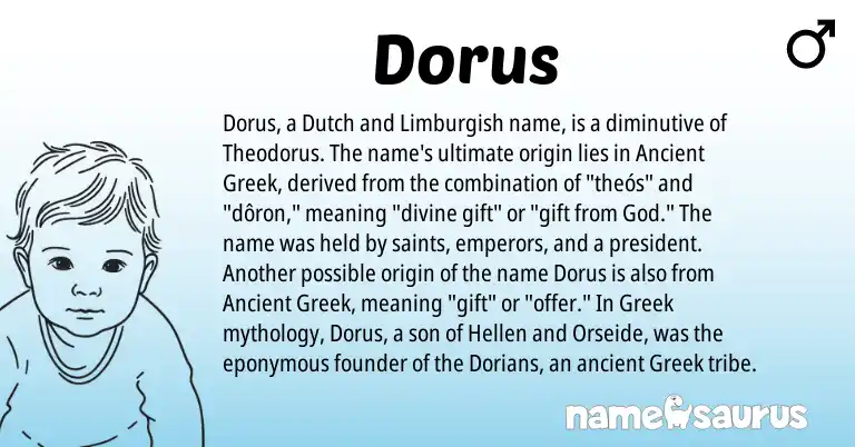 Infographic about Dorus name meaning, Dorus is a name from Dutch, Greek, Limburgish, Ancient Greek origin(s).