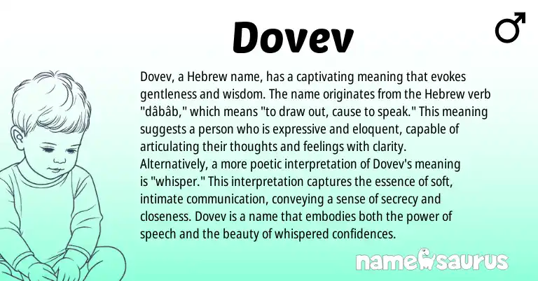 Infographic about Dovev name meaning, Dovev is a name from Hebrew origin(s).