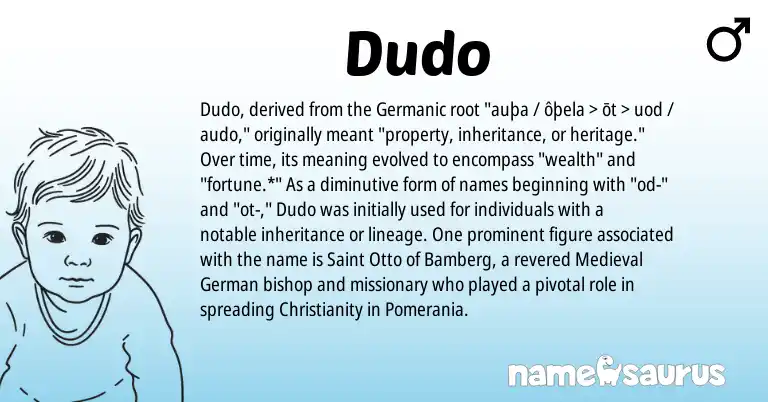 Infographic about Dudo name meaning, Dudo is a name from Medieval German, Christianity, Germanic origin(s).