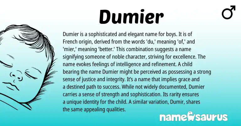 Infographic about Dumier name meaning, Dumier is a name from French origin(s).