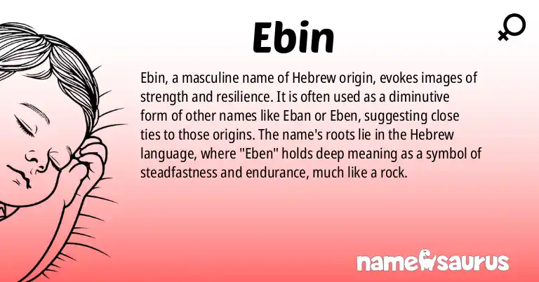 Infographic about Ebin name meaning, Ebin is a name from Hebrew origin(s).