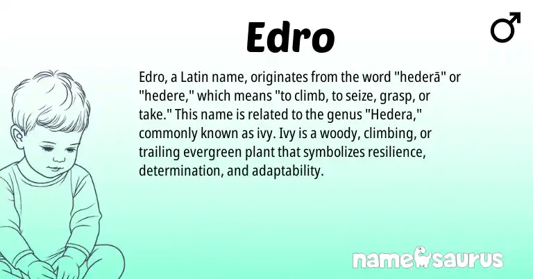 Infographic about Edro name meaning, Edro is a name from Latin origin(s).
