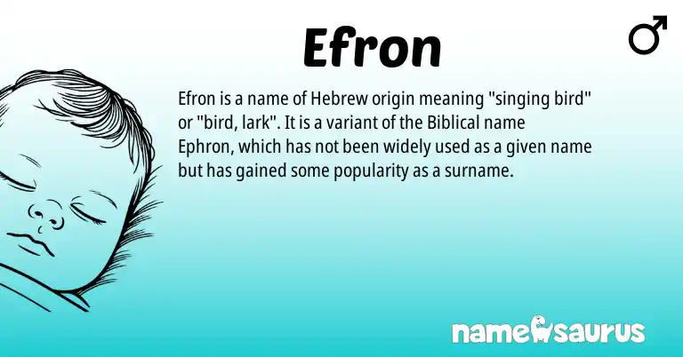 Infographic about Efron name meaning, Efron is a name from Hebrew origin(s).