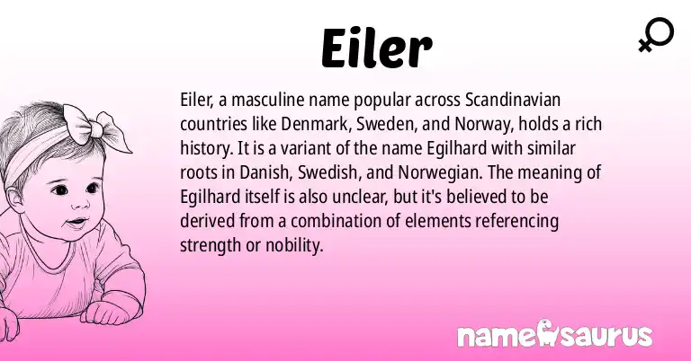 Infographic about Eiler name meaning, Eiler is a name from Danish, Swedish, Norwegian origin(s).