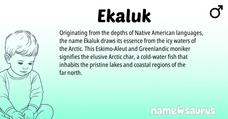 Infographic about Ekaluk name meaning, Ekaluk is a name from Native American, Aleut, Greenlandic origin(s).