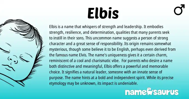 Infographic about Elbis name meaning, Elbis is a name from Other origin(s).