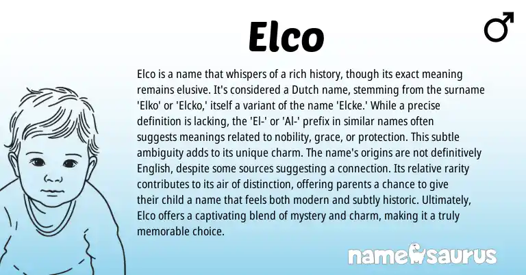 Infographic about Elco name meaning, Elco is a name from Dutch origin(s).