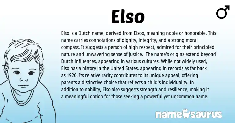 Infographic about Elso name meaning, Elso is a name from Dutch origin(s).