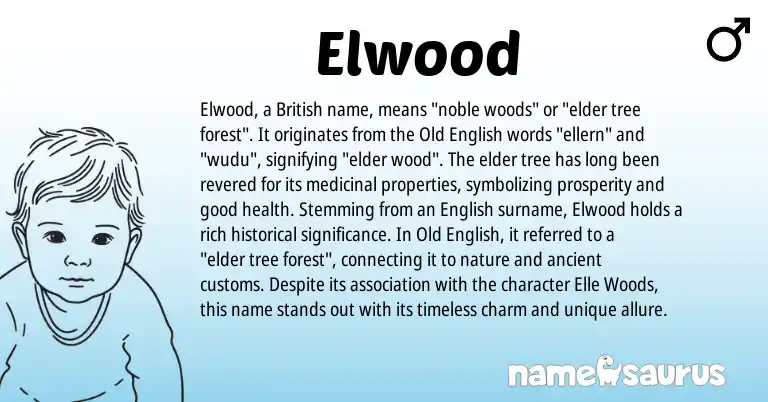 Infographic about Elwood name meaning, Elwood is a name from Old English, English, British origin(s).