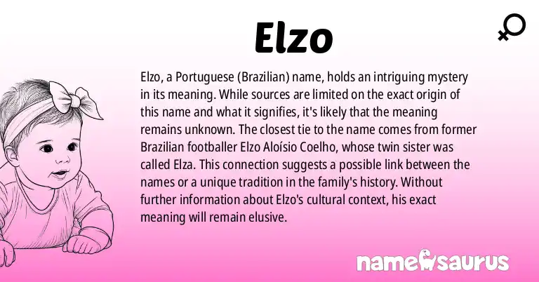 Infographic about Elzo name meaning, Elzo is a name from Portuguese (Brazilian) origin(s).