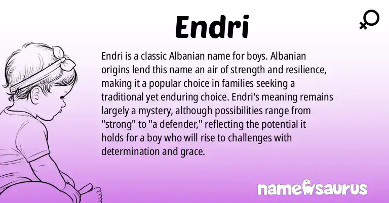 Infographic about Endri name meaning, Endri is a name from Albanian origin(s).