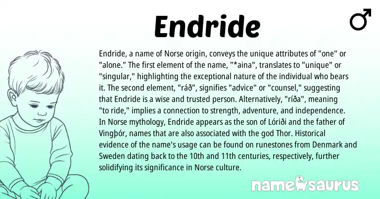 Infographic about Endride name meaning, Endride is a name from Norse origin(s).