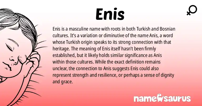 Infographic about Enis name meaning, Enis is a name from Turkish, Bosnian origin(s).