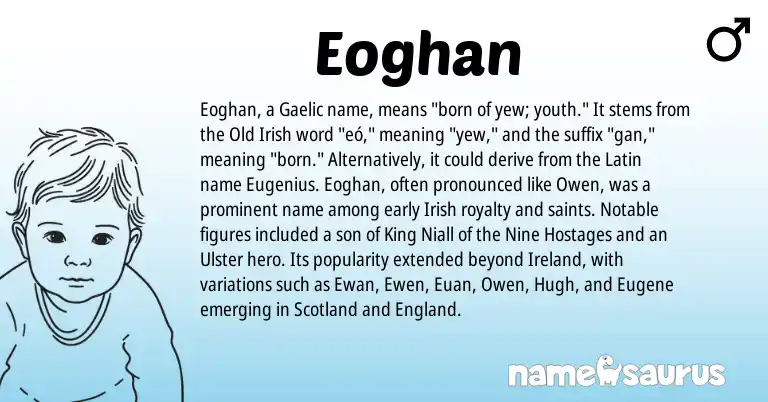 Infographic about Eoghan name meaning, Eoghan is a name from Irish, Ireland, England, Gaelic, Latin, Old Irish origin(s).