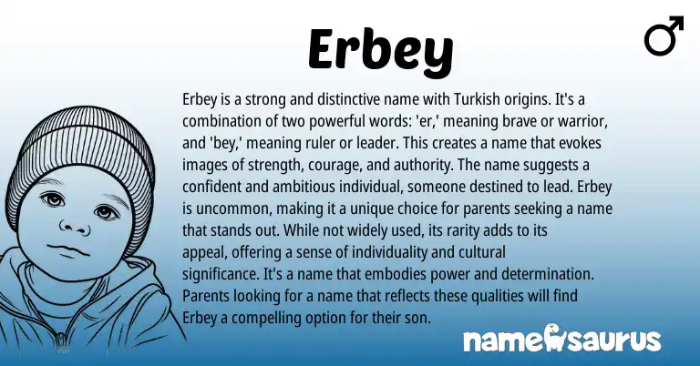 Infographic about Erbey name meaning, Erbey is a name from Turkish origin(s).