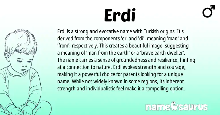 Infographic about Erdi name meaning, Erdi is a name from Turkish origin(s).