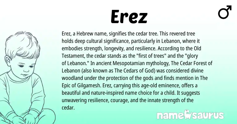 Infographic about Erez name meaning, Erez is a name from Hebrew origin(s).