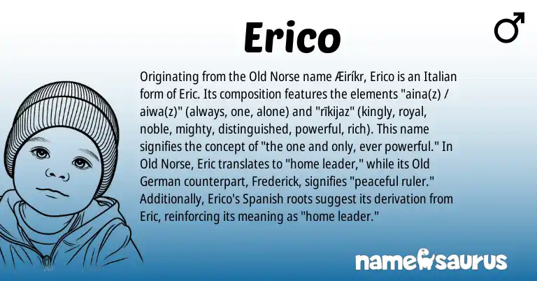 Infographic about Erico name meaning, Erico is a name from Old German, Old Norse, Spanish, Italian origin(s).