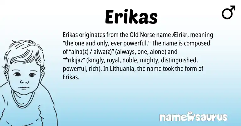 Infographic about Erikas name meaning, Erikas is a name from Old Norse origin(s).