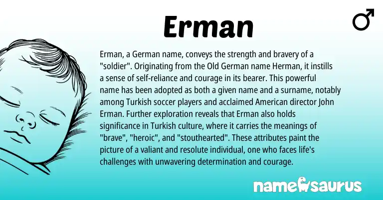 Infographic about Erman name meaning, Erman is a name from Old German, German, Turkish, American origin(s).
