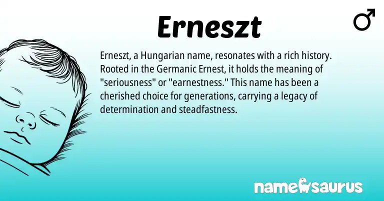 Infographic about Erneszt name meaning, Erneszt is a name from Hungarian, Germanic origin(s).