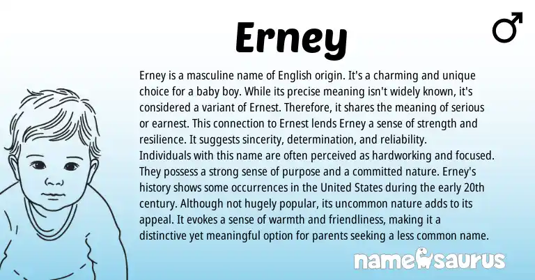 Infographic about Erney name meaning, Erney is a name from English origin(s).
